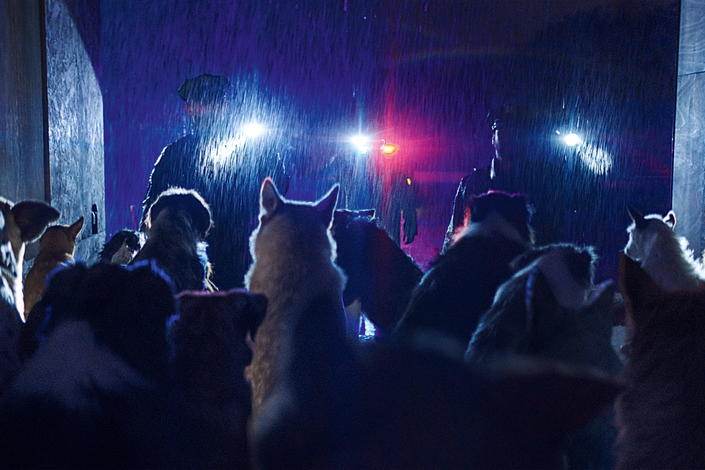 MOSTRA DEL CINEMA E CANI_DOGMAN