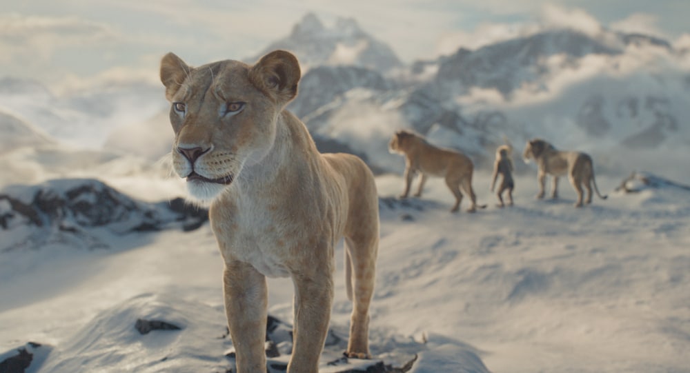 Mufasa The Lion king il re leone