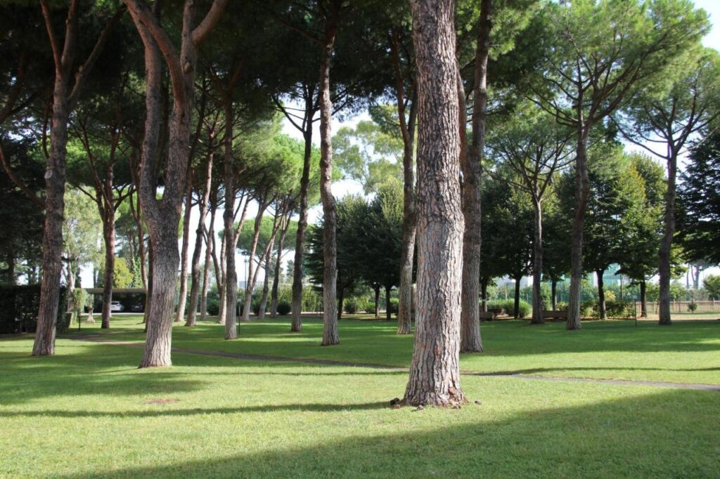 Coliffe Guest house serafico