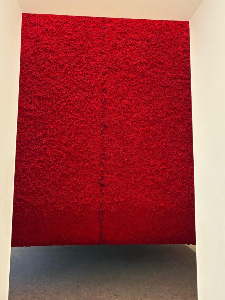 Anish Kapoor 61 Biennale Venezia 