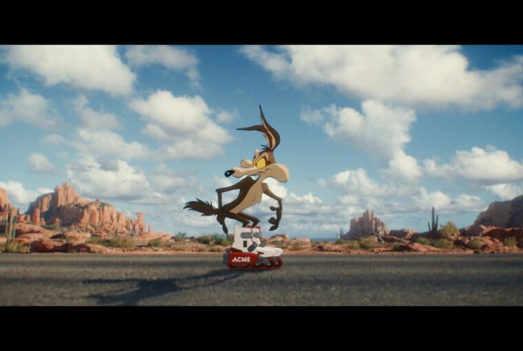 Coyote vs acme