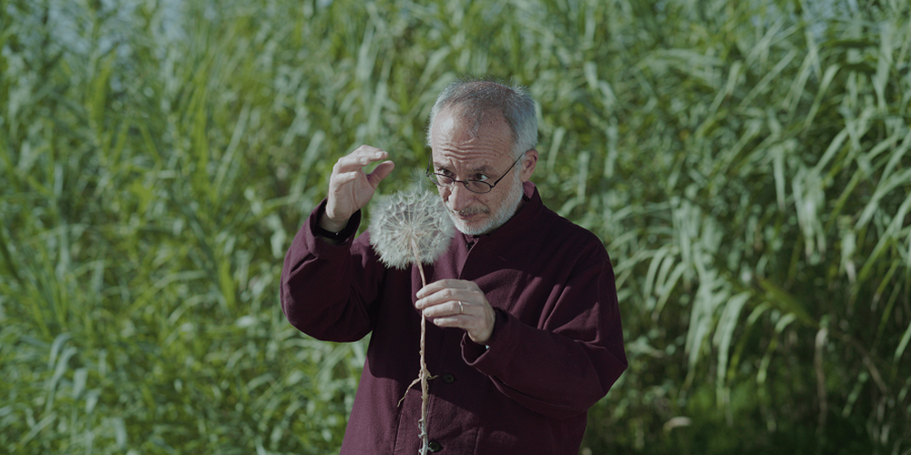 Stefano Mancuso